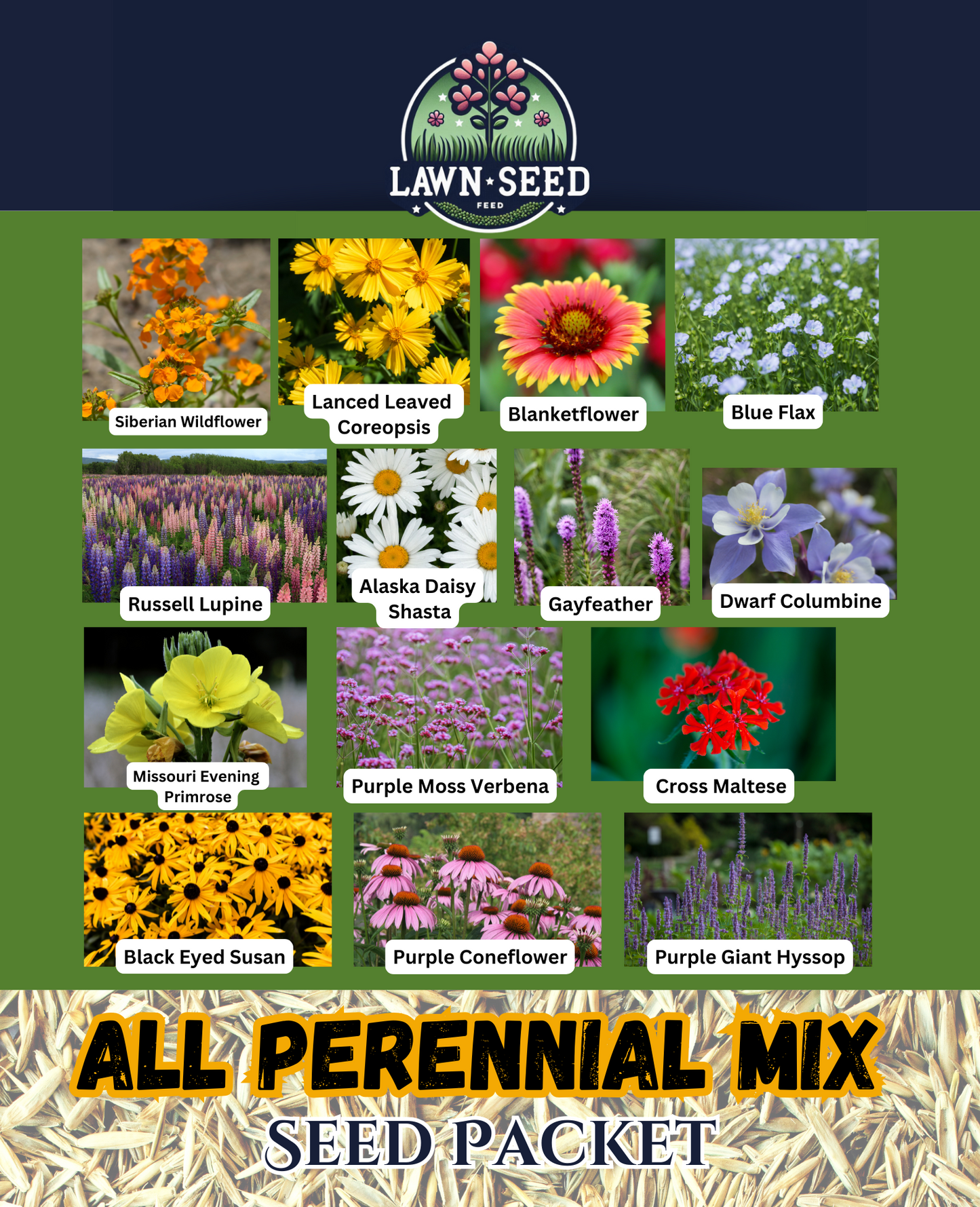 All Perennial Wildflower Mix