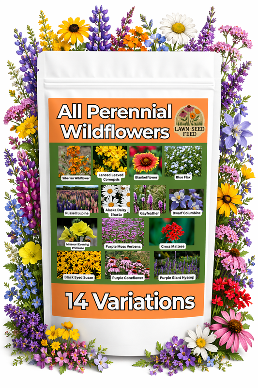 All Perennial Wildflower Mix