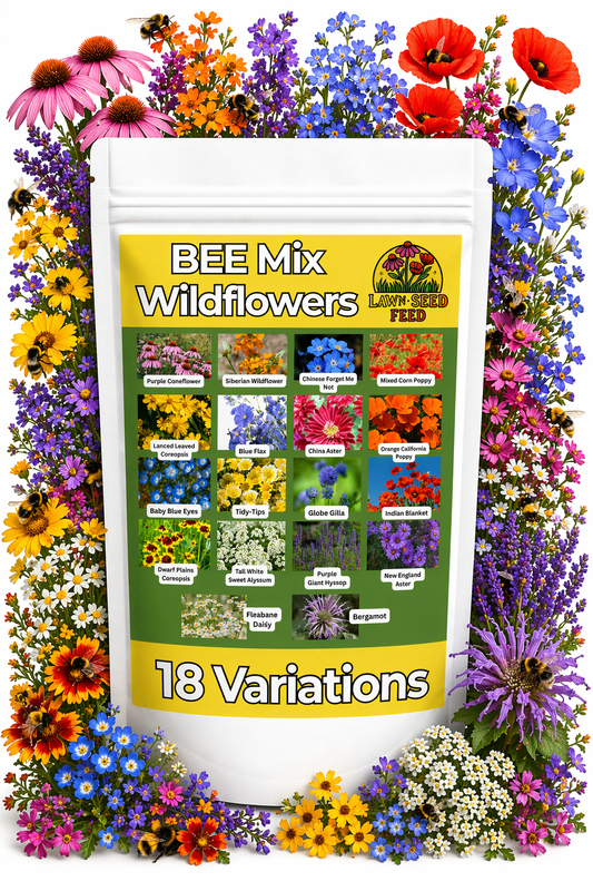 Bee Wildflower Mix