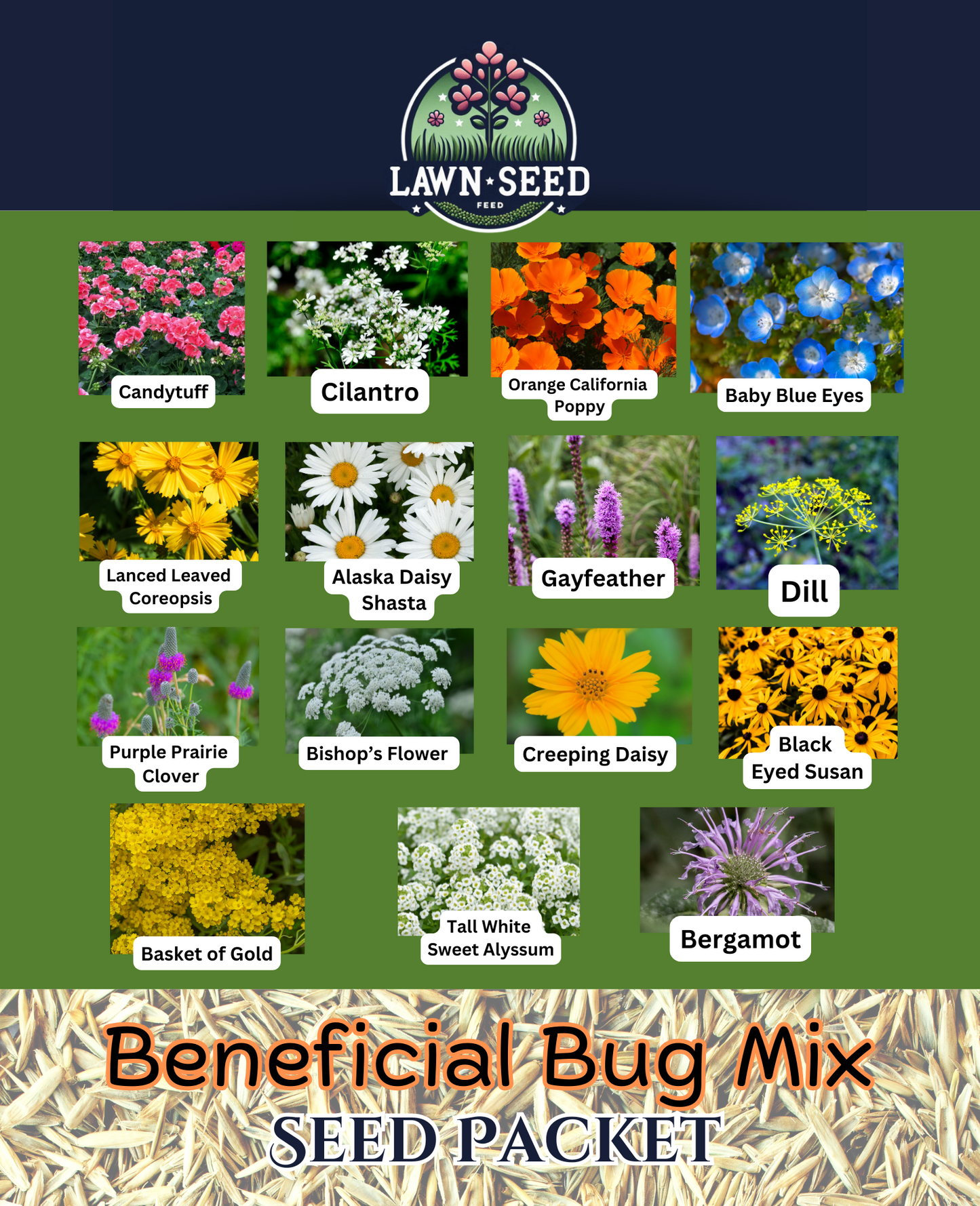 Beneficial Bug Wildflower Mix