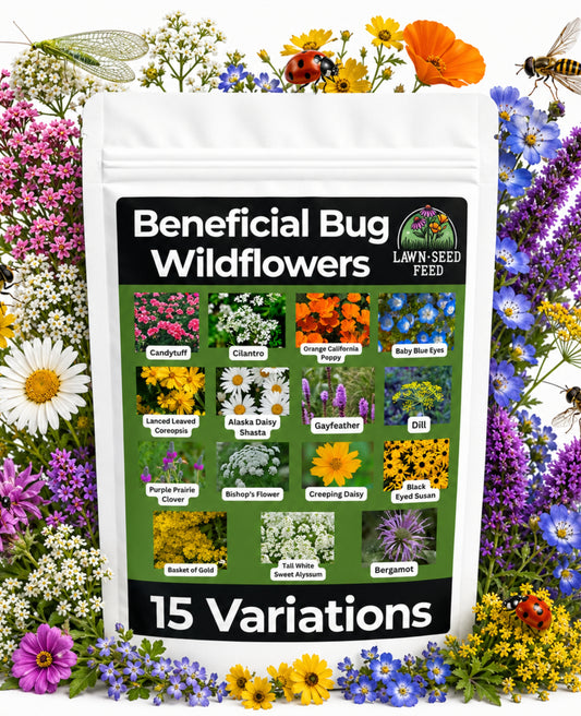 Beneficial Bug Wildflower Mix