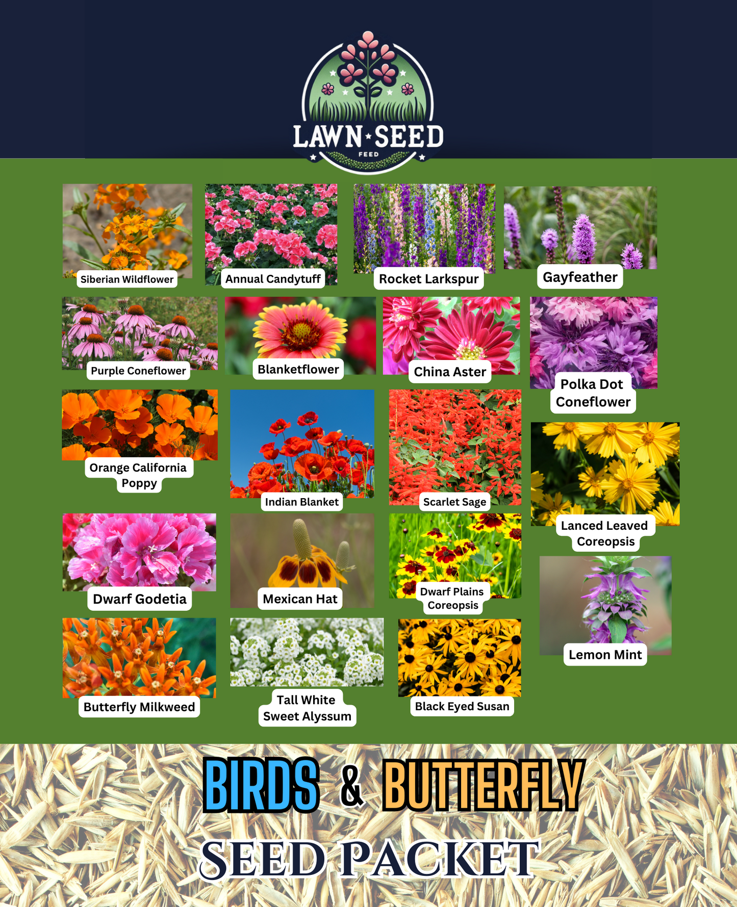 Birds & Butterfly Wildflower Mix