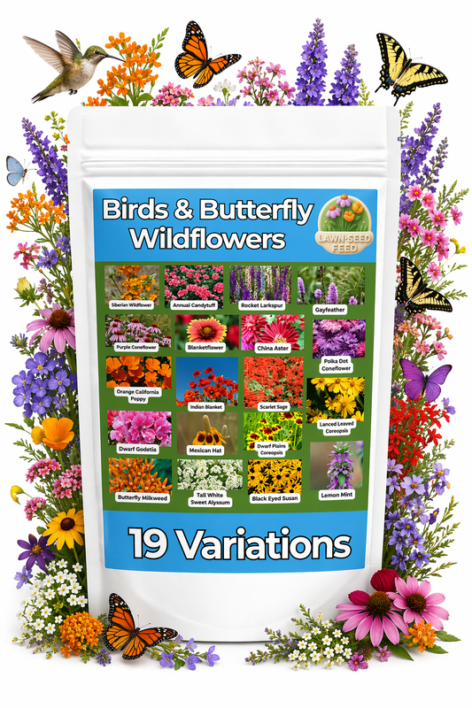 Birds & Butterfly Wildflower Mix