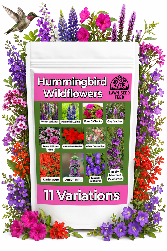 Hummingbird Wildflower Mix