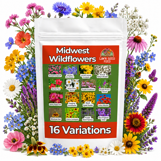 Midwest Wildflower Mix