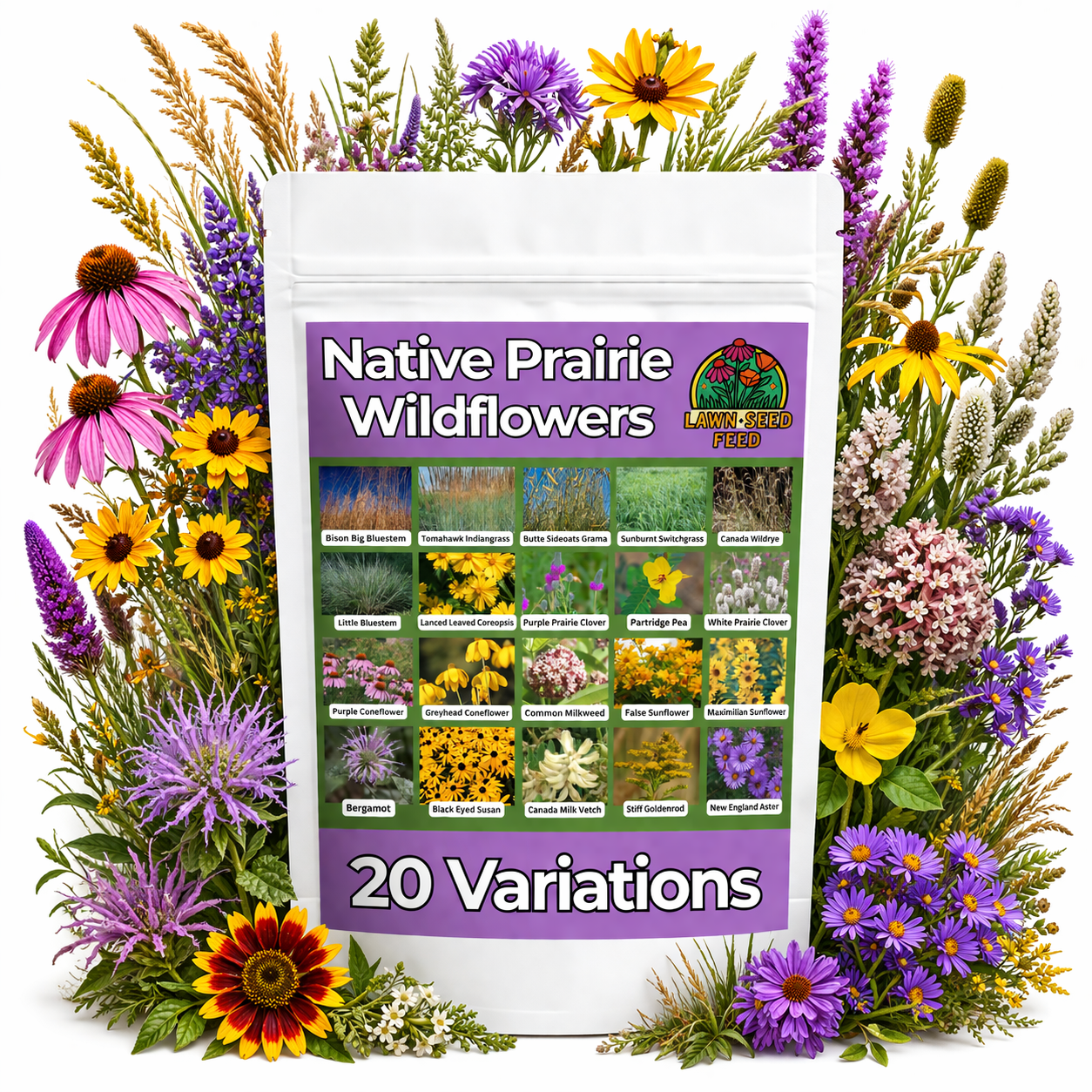 Native Prairie Wildflower Mix