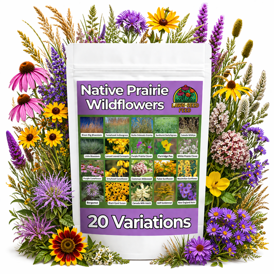 Native Prairie Wildflower Mix