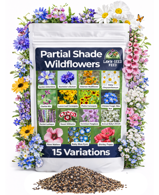 Partial Shade Wildflower Mix