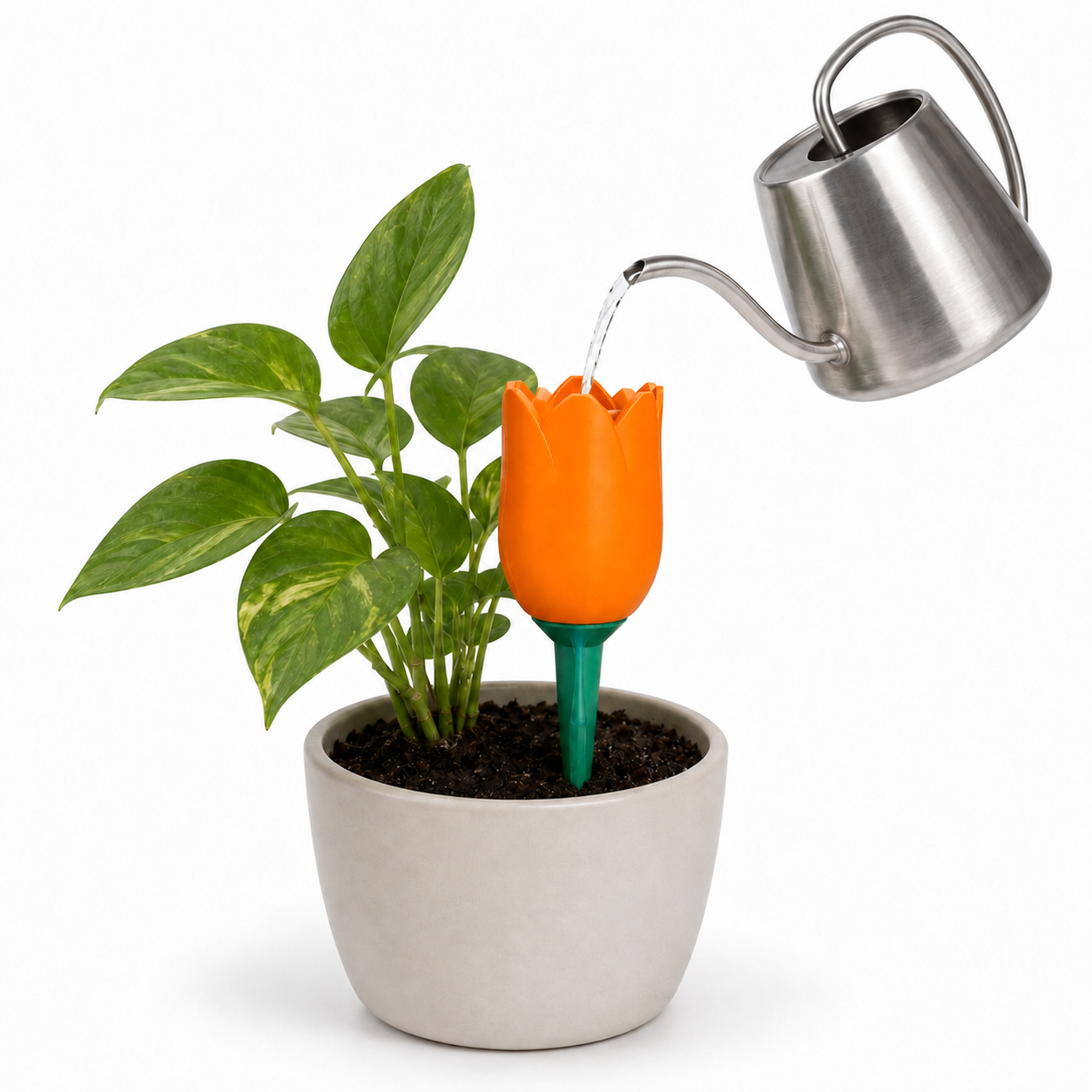 Tulip Watering Spike