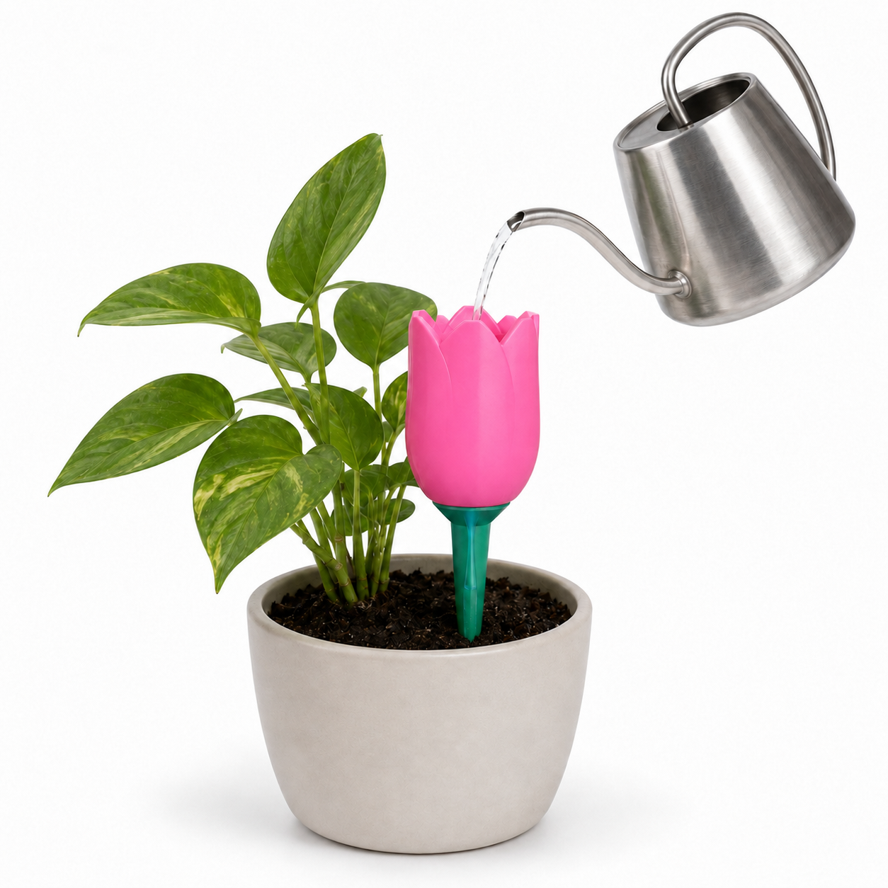 Tulip Watering Spike